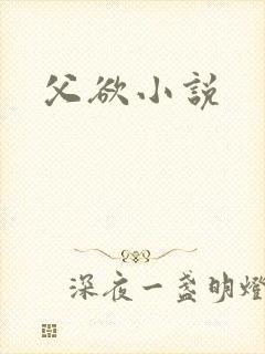 父欲小说封面
