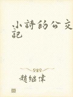 小诗的公交车日记封面