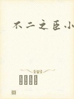 不二之臣小说