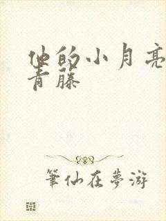 他的小月亮by青藤