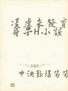 凌虐未发育的小身子H小说