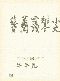 苏莱霍离小说免费阅读全文封面