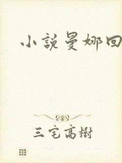 小说曼娜回忆录