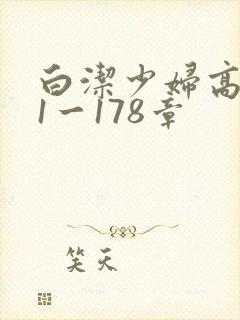 白洁少妇高义第1一178章封面