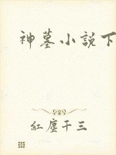 神墓小说下载