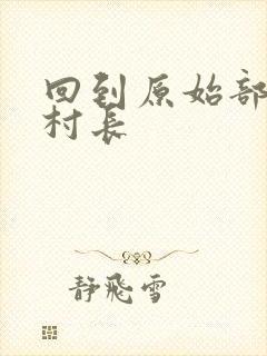 回到原始部落当村长封面