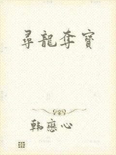 寻龙夺宝