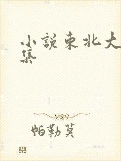 小说东北大炕全集