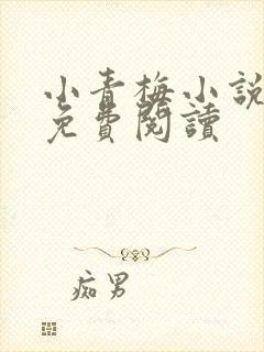 小青梅小说全文免费阅读