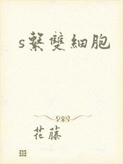 s系双细胞