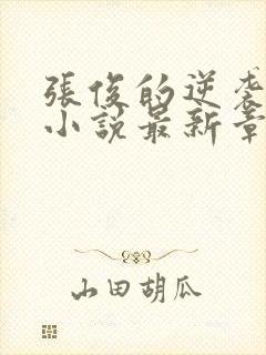 张俊的逆袭之路小说最新章节