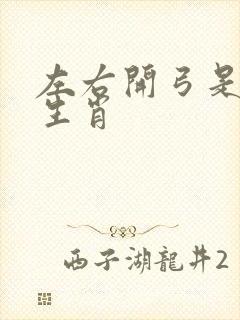 左右开弓是什么生肖