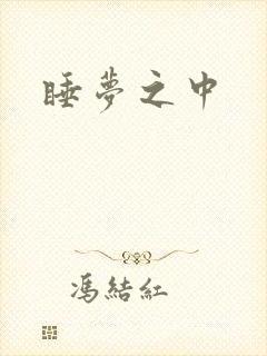 睡梦之中封面