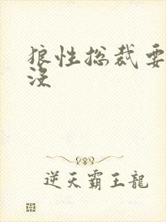 狼性总裁要够了没