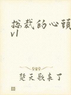 总裁的心头宝1v1