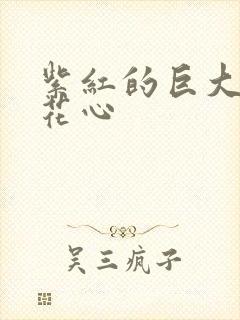 紫红的巨大顶开花心