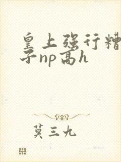 皇上强行糟蹋太子np高h封面