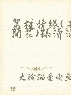 驾校情缘(老树开花)孙潇潇第一次趣笔阁