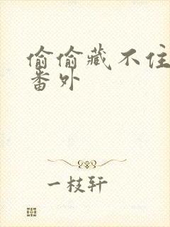 偷偷藏不住新婚番外