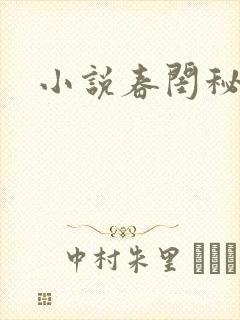 小说春闺秘史