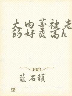 大肉蒂被老头嘬的好爽高h