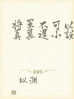 将军不可以魏云真慕迟小说笔趣阁