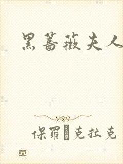 黑蔷薇夫人封面