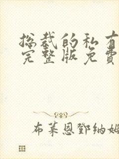 总裁的私有宝贝完整版免费阅读