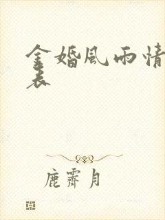 金婚风雨情演员表封面