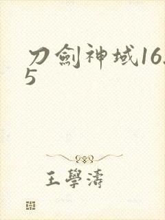 刀剑神域16.5