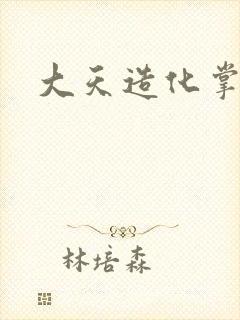 大天造化掌封面