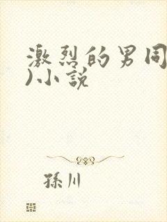 激烈的男同(h)小说