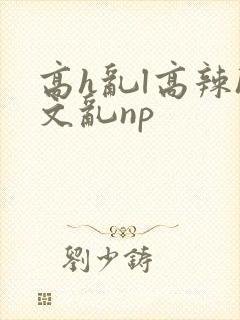 高h乱l高辣h文乱np
