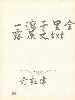 一泻千里金银花露原文txt