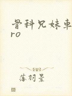 骨科兄妹车多pro