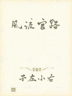 风流官路