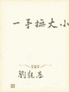 一手抚大小说