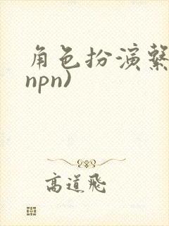 角色扮演系统(npn)