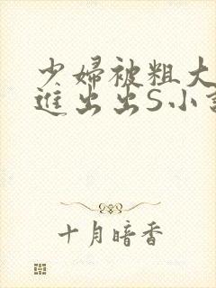 少妇被粗大猛进进出出S小说封面