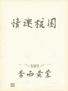 情迷校园封面