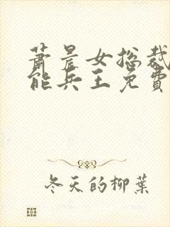 萧晨女总裁的全能兵王免费