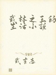 武林之王的退隐生活小说封面