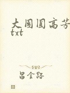 大团圆高芳小说txt