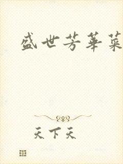 盛世芳华菜谱封面