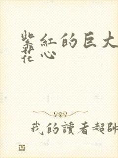 紫红的巨大顶开花心