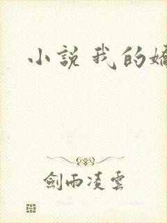 小说 我的娇妻