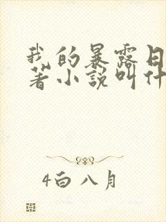 我的暴露日记原著小说叫什么