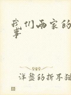 我们两家的荒唐事