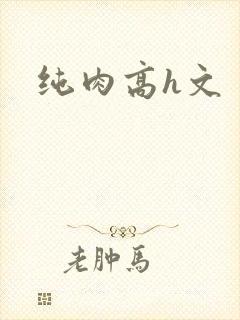 纯肉高h文