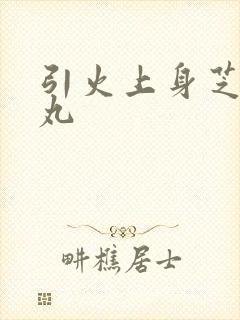 引火上身芝麻糖丸